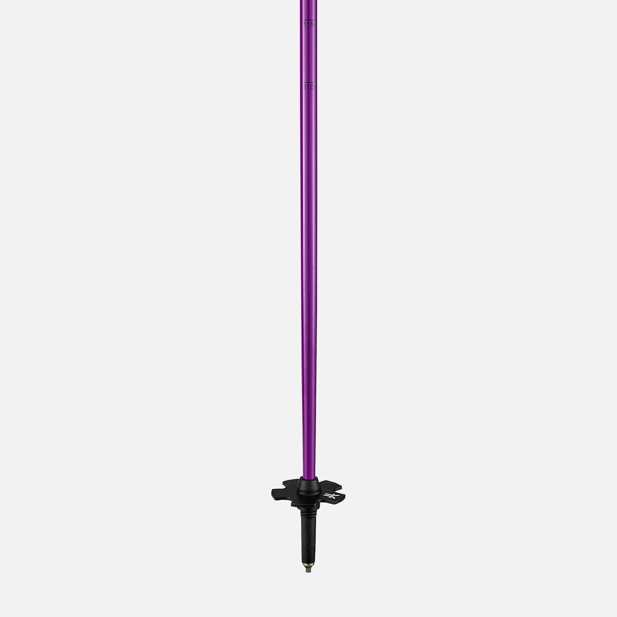 AGENT POLES PURPLE